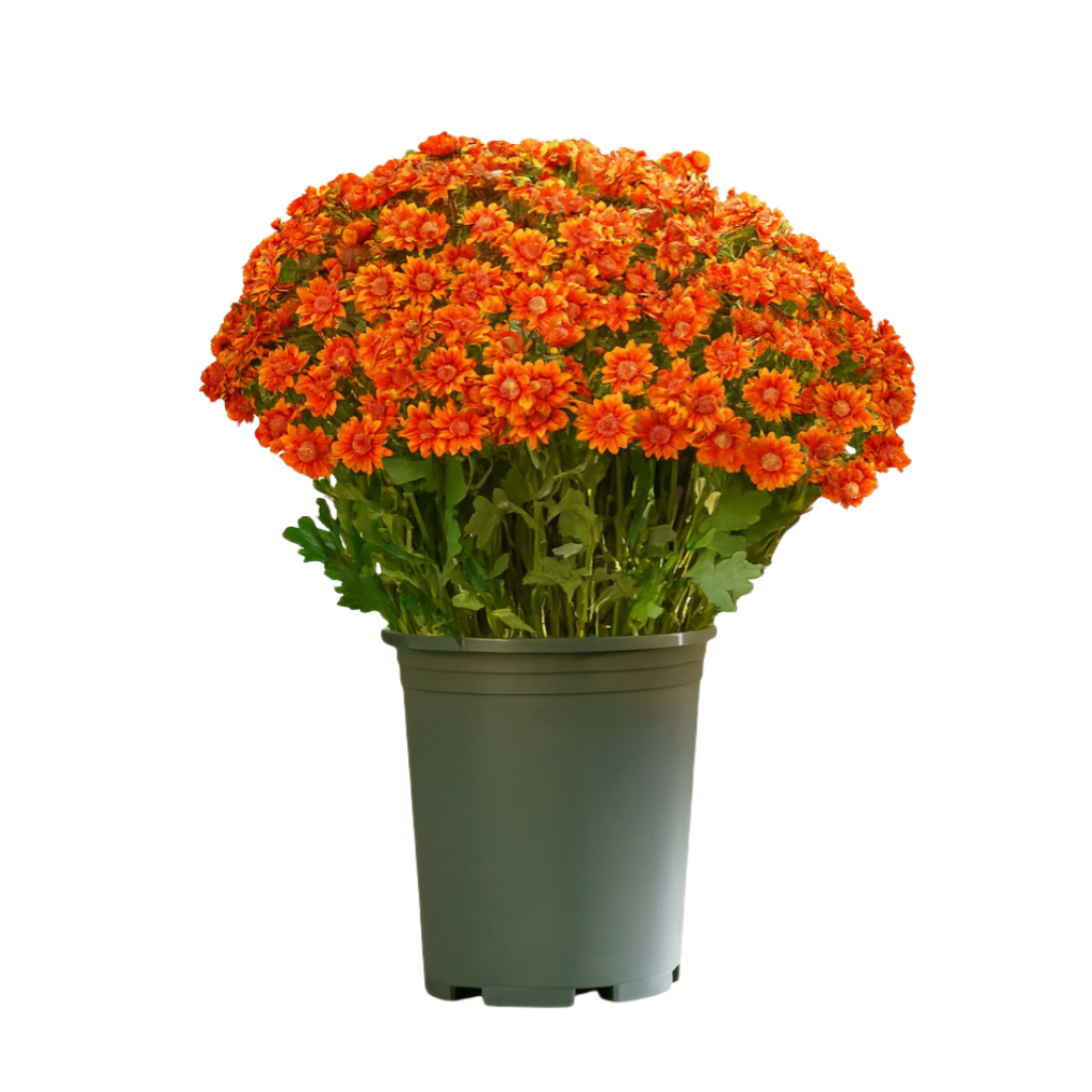 🍁 Artificial Fall Chrysanthemum Mums: Vibrant UV-Resistant Outdoor Autumn Flowers! 🍂
