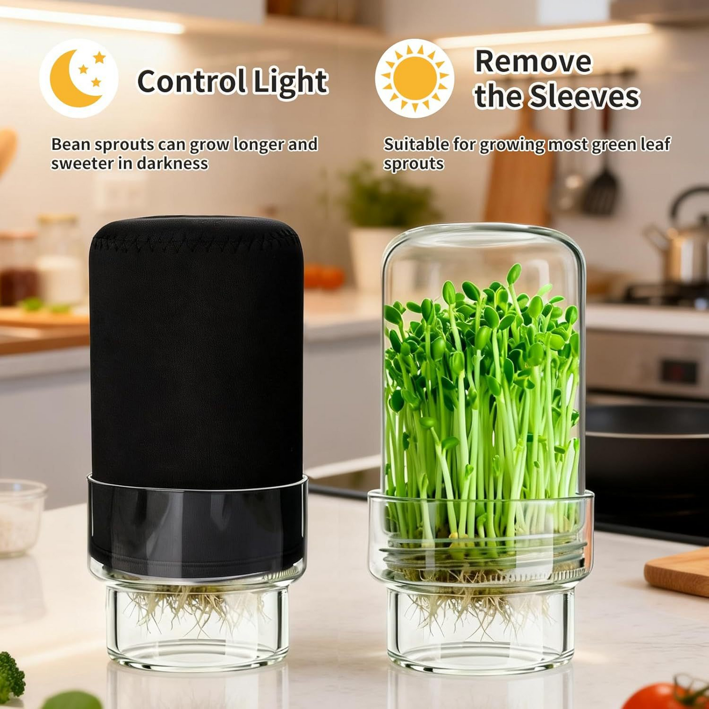 🥦 Updated Sprouting Kit - Sprouting Jar Kits