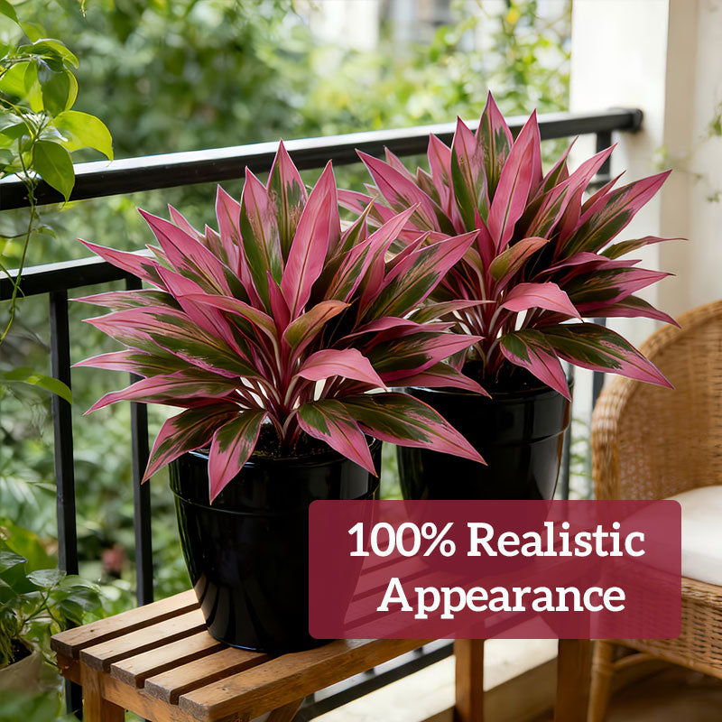 🌹Artificial Dracaena fragrans🌿