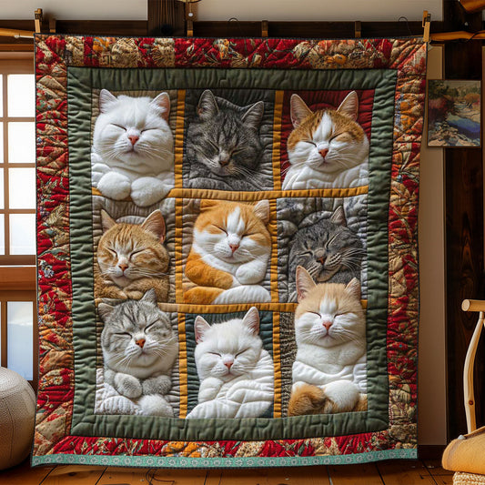 😴Sleeping Royal Cat Blanket🐱