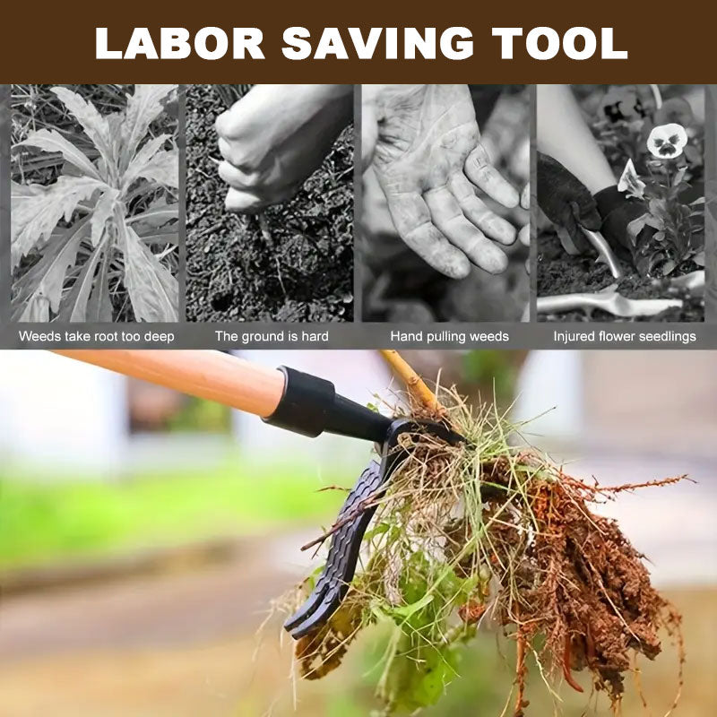 Headline: Create Your Own Secret Garden in Seconds! 🌿💜✨