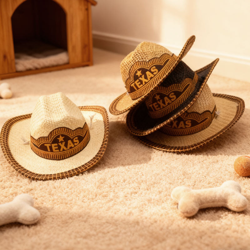 🤠Pet Mini Cowboy Hat🐱