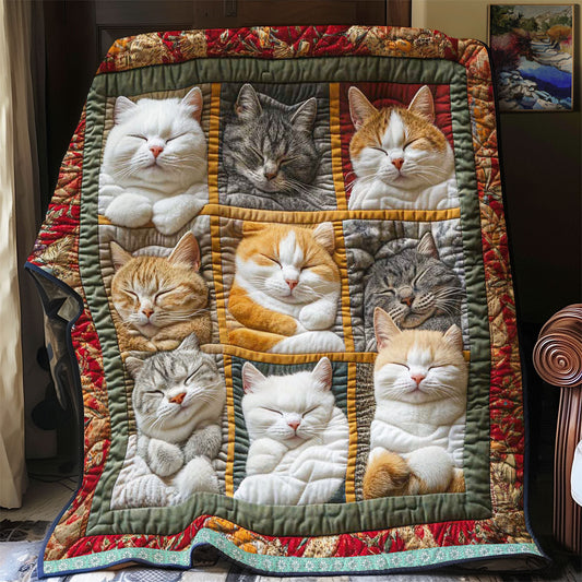😴Sleeping Royal Cat Blanket🐱