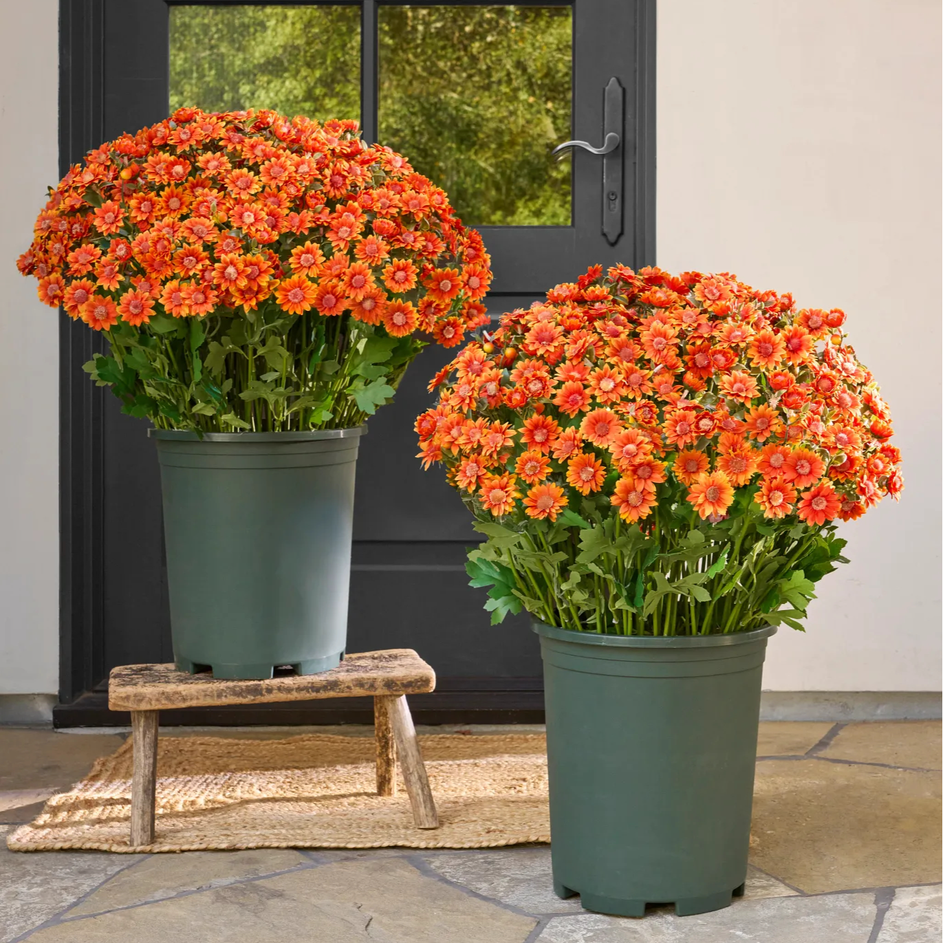 🍁 Artificial Fall Chrysanthemum Mums: Vibrant UV-Resistant Outdoor Autumn Flowers! 🍂