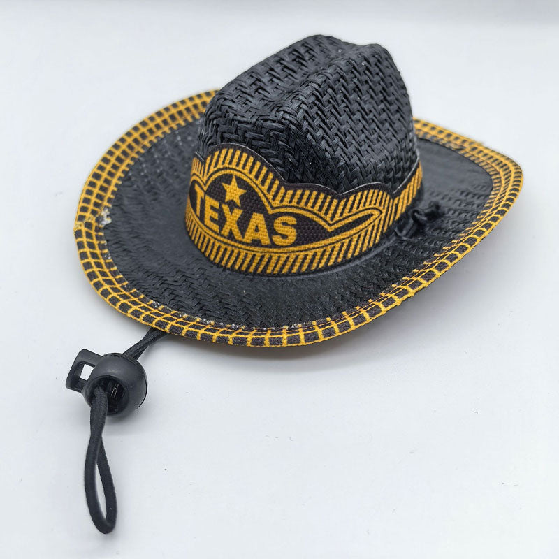 🤠Pet Mini Cowboy Hat🐱