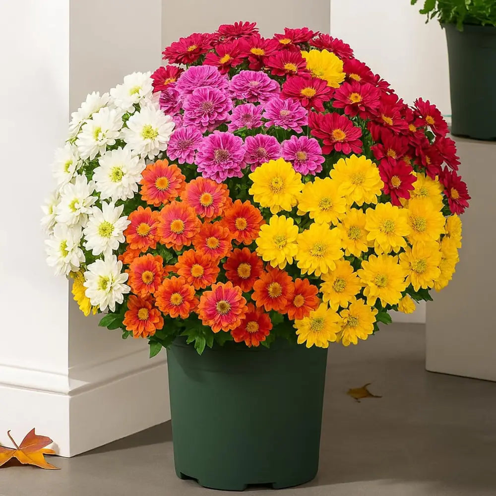 🍁 Artificial Fall Chrysanthemum Mums: Vibrant UV-Resistant Outdoor Autumn Flowers! 🍂