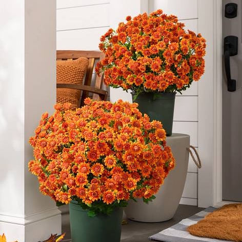🍁 Artificial Fall Chrysanthemum Mums: Vibrant UV-Resistant Outdoor Autumn Flowers! 🍂