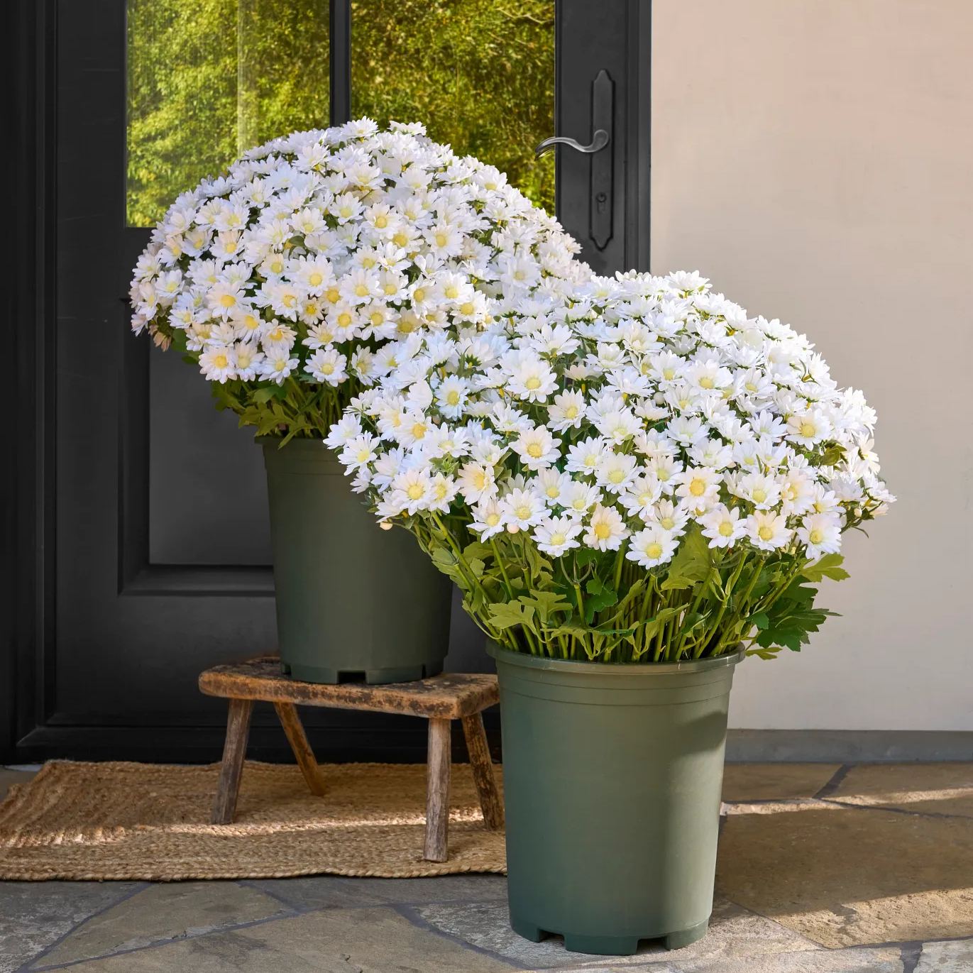 🍁 Artificial Fall Chrysanthemum Mums: Vibrant UV-Resistant Outdoor Autumn Flowers! 🍂