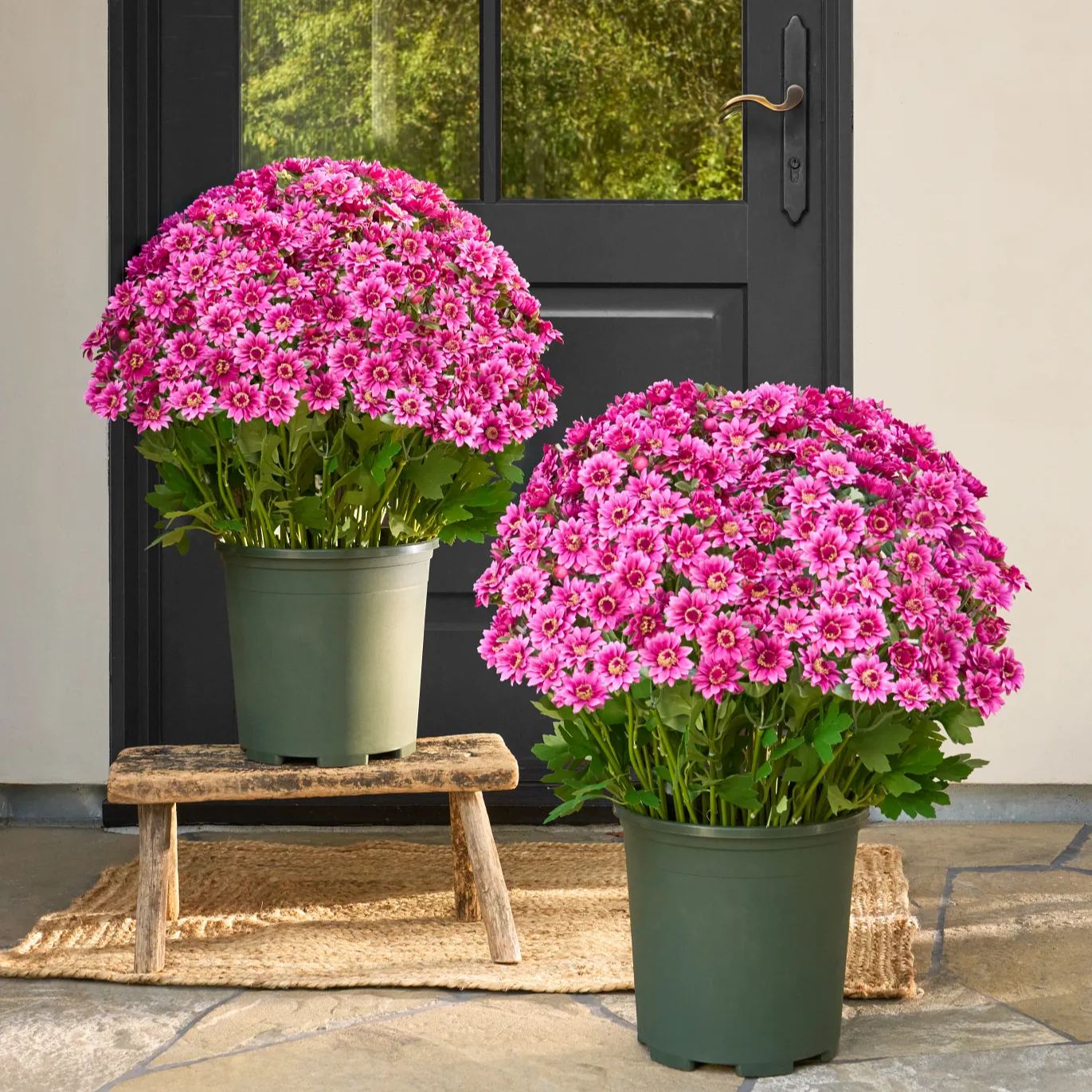 🍁 Artificial Fall Chrysanthemum Mums: Vibrant UV-Resistant Outdoor Autumn Flowers! 🍂