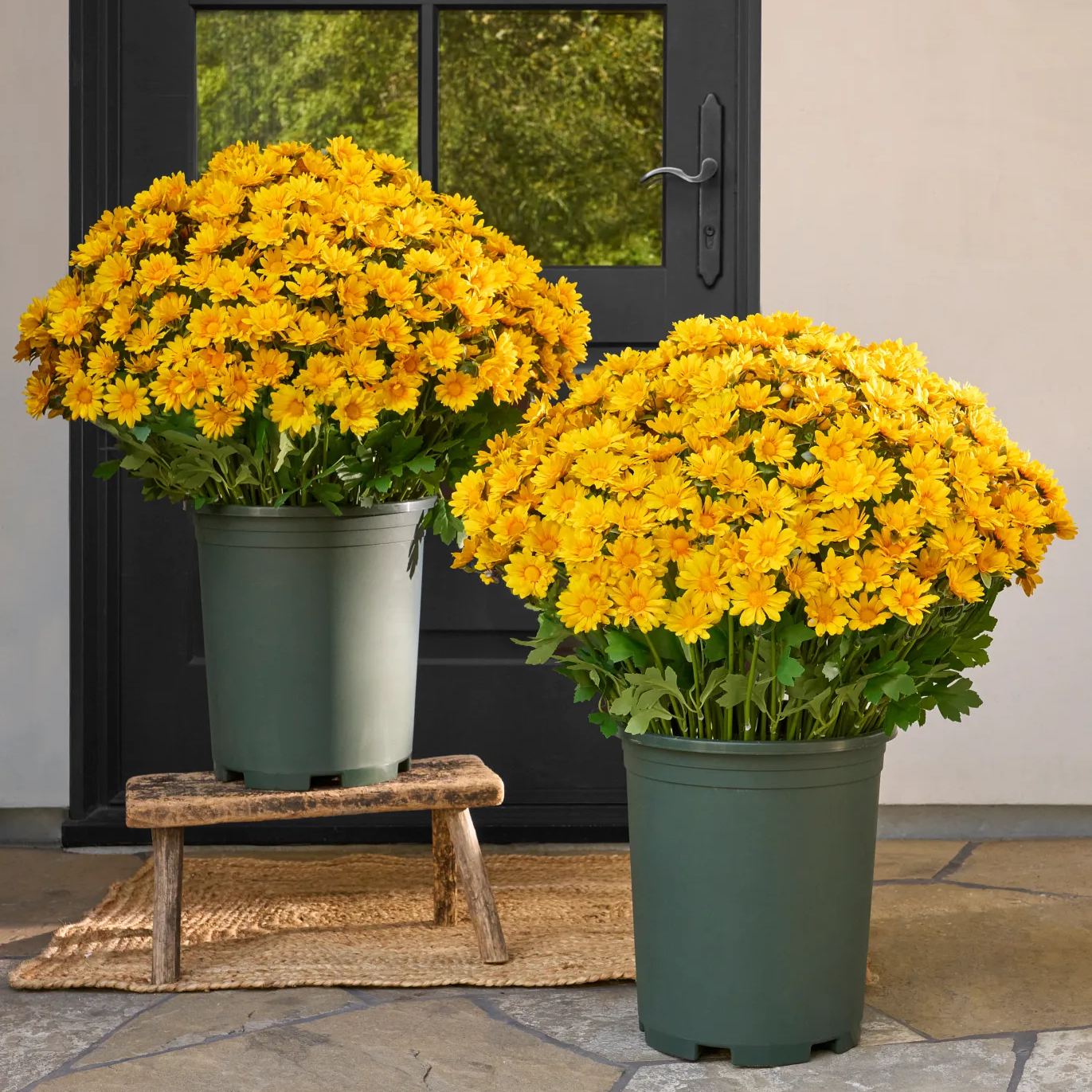 🍁 Artificial Fall Chrysanthemum Mums: Vibrant UV-Resistant Outdoor Autumn Flowers! 🍂